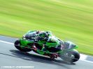 DSCF1811.jpg